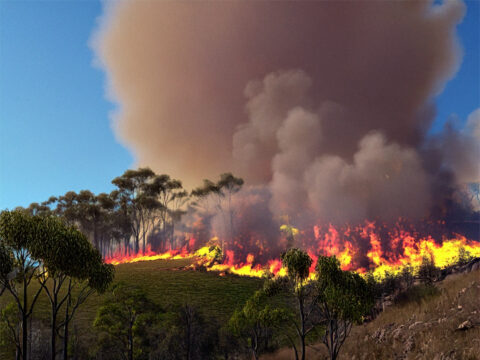 Surviving The Fire-Breathing Mountain - A story based on Hebrews 12:18–29 – The unshakable kingdom (fellowship) - Ordinary 21 Year C