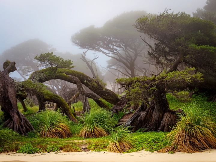 Where Love Fears the Law: The Edge of Obedience &mdash; Based on John 3:1-17 &ndash; Jesus did not come to condemn the world, yet we frequently use his name and these verses to condemn one another &mdash; Lent 2 A